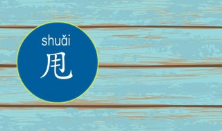 月加一笔是什么字（白加一笔是什么字）