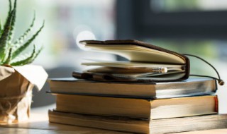 风月天边这个成语的意思是什么（成语风月无边什么意思）