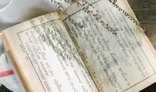 细雨湿流光这首词如何理解（细雨湿流光季雨结局）