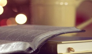 一级学科是什么意思（研究生一级学科是什么意思）