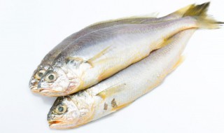 家常煎鱼的腌制方法（煎鱼的时候怎么腌鱼）