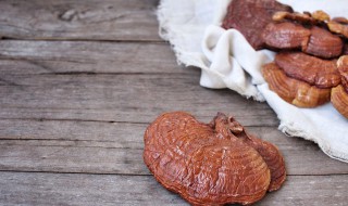 灵芝泡水喝的功效和作用 灵芝泡水喝的正确方法和用量