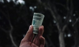 劣币驱逐良币社会现象（劣币驱逐良币社会现象叫什么）