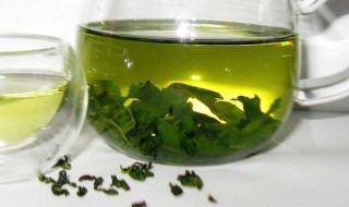 桑叶泡水喝的7大功效（桑叶泡水喝的7大功效l）