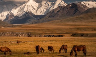 吉尔吉斯坦人口面积 吉尔吉斯坦人口面积GDP总量和人均GDP各多少?