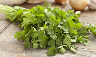 芫荽的意思 芫荽是什么读音