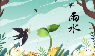 雨水养生注意什么