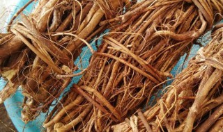 五指毛桃可以直接煮水喝吗（五指毛桃泡水喝的正确方法）