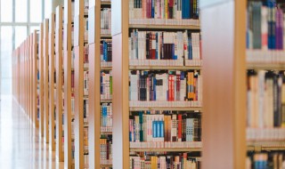 实然和应然的区别 实然和应然的区别在哪