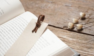 裴读音（裴读音组词）