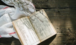 曲拼音（曲拼音组词）