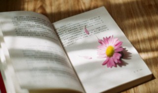 骂的拼音（颚的拼音）