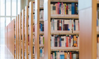 怠慢的拼音 不敢怠慢的拼音