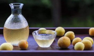 梅子酒的做法大全 梅子酒的做法视频