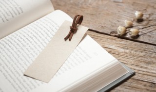 二十四个季节小说简介