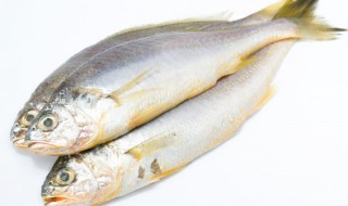 家炖黄花鱼的家常做法 炖黄花鱼的家常做法视频