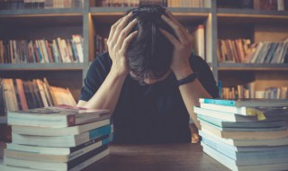 领域的拼音 领域的拼音和意思