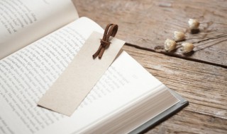 晋朝怎么灭亡的(司马昭建立的晋朝怎么灭亡的)