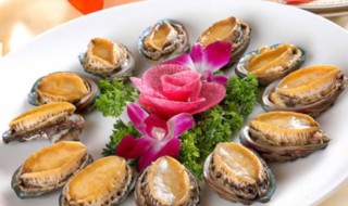 死鲍鱼冷冻多久不能吃