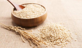 糙米和薏米能一起煮吗（糙米和薏米能一起煮吗怎么煮）