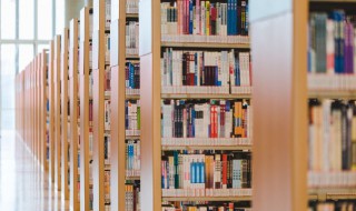 条怎么组词（条怎么组词一年级上册语文）