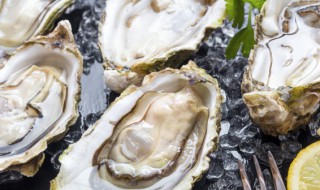 生蚝壮阳怎么吃（生蚝壮阳吃几个）