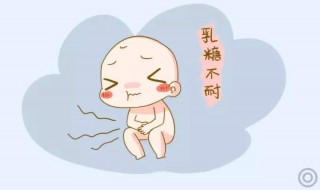 乳糖是什么（乳糖是什么东西）