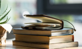 ct是什么 CTN是什么意思