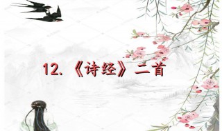 诗经一共收录了多少篇诗歌作品(诗经一共收录了多少篇诗歌作品?)