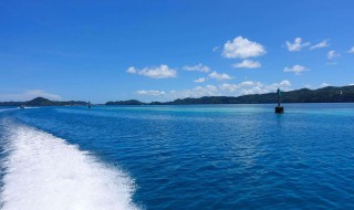 太平洋的中间是什么 太平洋的中间是什么动物