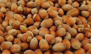 榛子怎么读（榛怎么读 拼音）