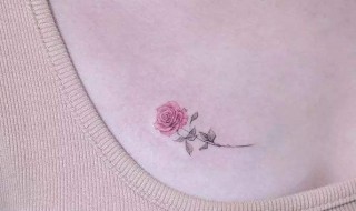 如何让胸部变小（如何让胸部变小一点）