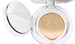 补妆用气垫还是粉饼(补妆用气垫还是粉饼比较好)