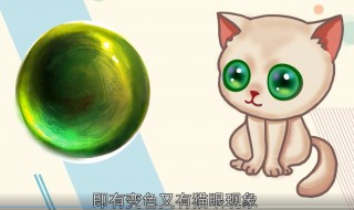 猫眼石是什么（猫眼石是什么宝石）