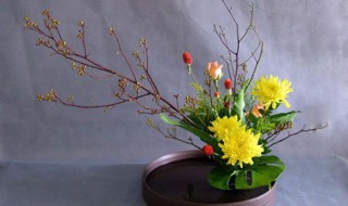 插花的技巧有哪些（插花的13个基本技巧）
