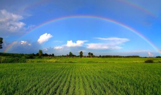 生机勃勃类似的词语 生机勃勃的近义词