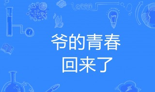 爷青回什么意思（爷青回什么意思哦）