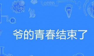 爷青结什么意思 爷青结什么意思梗