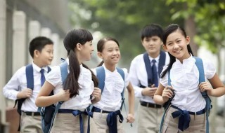 教育学复习资料 高考复习资料