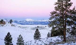 借景抒情的作文600字 借景抒情的作文600字初中