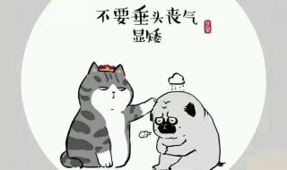 什么头什么气 什么头什么气的成语