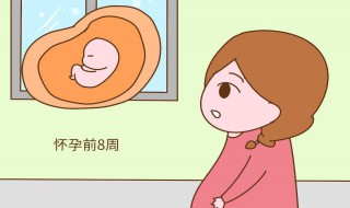 怀孕周期怎么算 怀孕周期怎么算最准