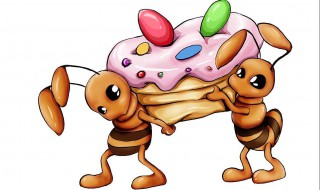 蚂蚁的资料（蚂蚁的资料简介简单）