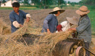 电视剧老农民剧情 电视剧老农民剧情分集介绍