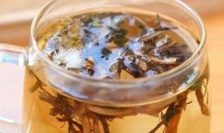 自己千万别用蒲公英根泡水喝（蒲公英根泡茶喝好吗）