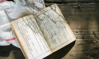 全国学生营养日小作文 全国学生营养日作文300字