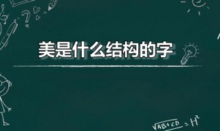 美是什么结构的字 美是什么结构的字体,部首是什么字