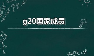 g20国家成员（g20的成员）