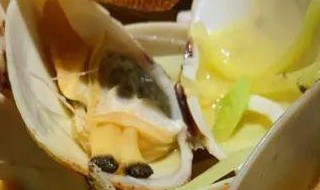 沙包螺的做法和配方 沙包螺图片