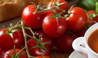 番茄酱和番茄沙司的做法和配方（番茄酱与番茄沙司各自的用途）